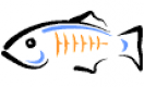 GlassFish Training in Argentina