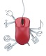 Web Services Training in Argentina